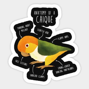 Anatomy of a White-Bellied Caique Sticker